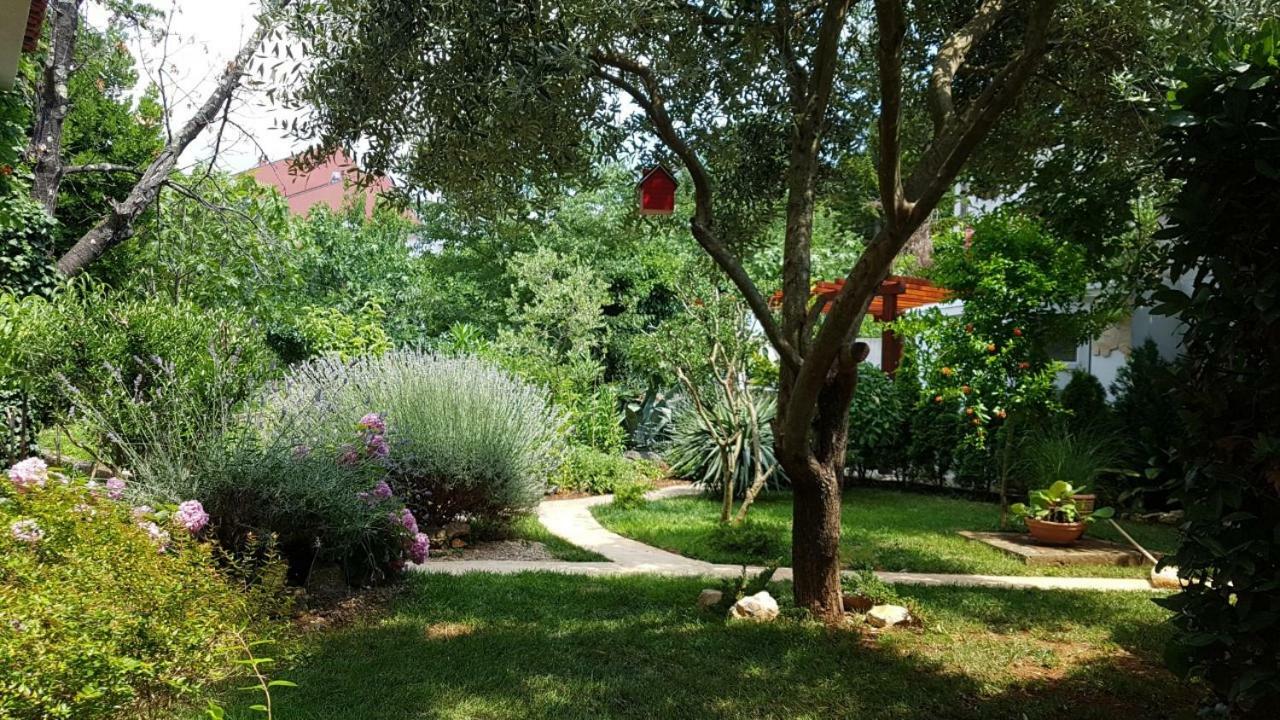Apartment Iva نجيفيش المظهر الخارجي الصورة