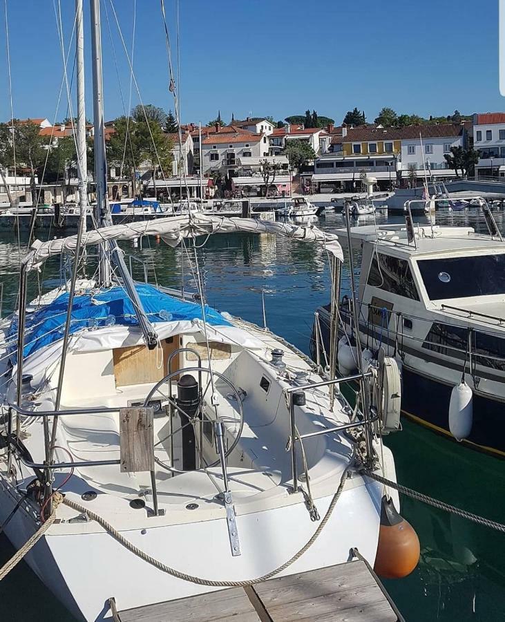 Apartment Iva نجيفيش المظهر الخارجي الصورة